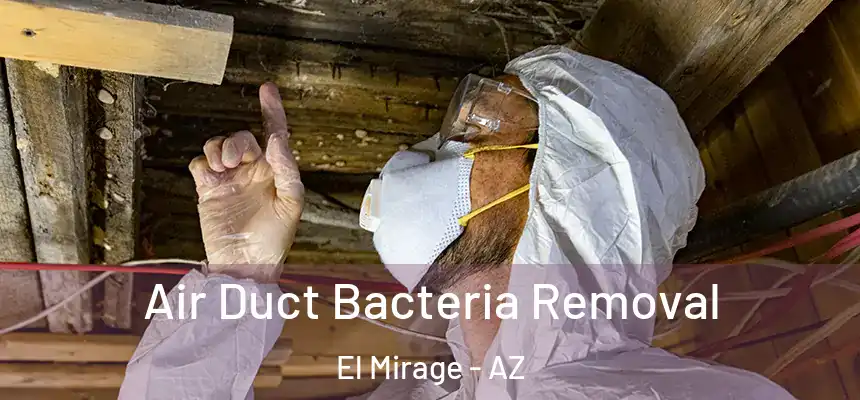  Air Duct Bacteria Removal El Mirage - AZ