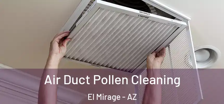  Air Duct Pollen Cleaning El Mirage - AZ