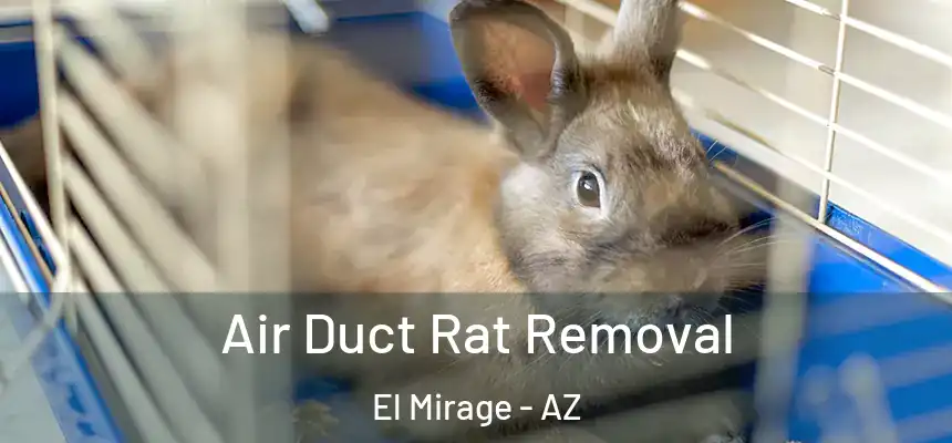 Air Duct Rat Removal El Mirage - AZ