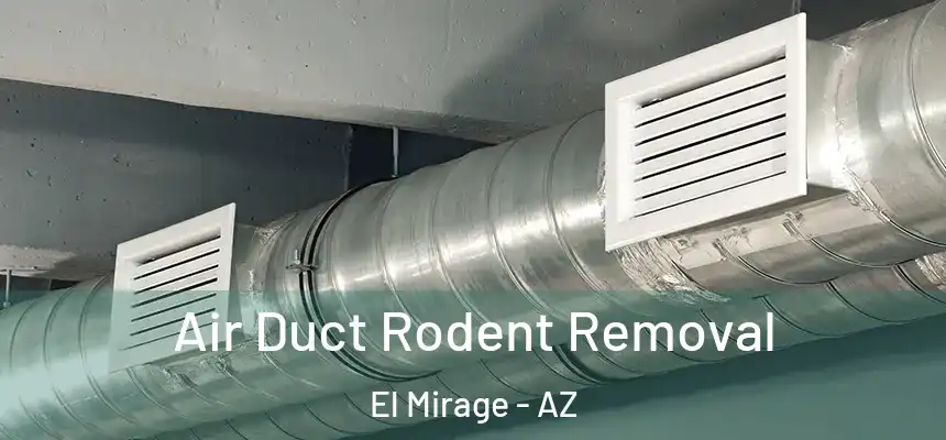 Air Duct Rodent Removal El Mirage - AZ