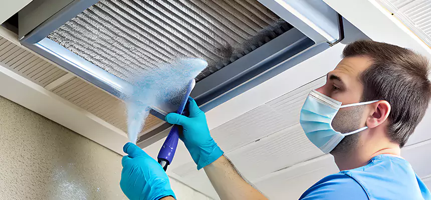 Proactive Dryer Vent & Auxiliary Duct Pollen Cleanup in El Mirage, AZ