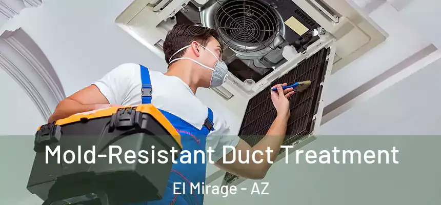  Mold-Resistant Duct Treatment El Mirage - AZ