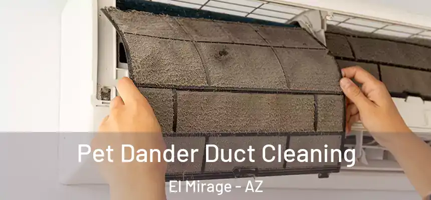  Pet Dander Duct Cleaning El Mirage - AZ