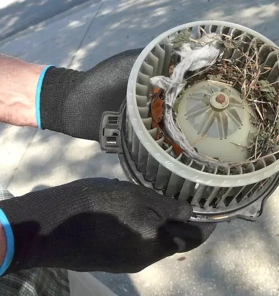 About Air Duct Rat Removal in El Mirage, AZ